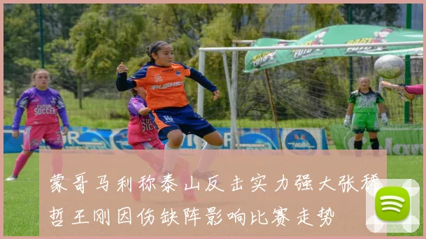 蒙哥马利称泰山反击实力强大张稀哲王刚因伤缺阵影响比赛走势